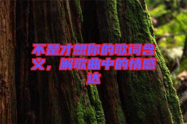 不是才想你的歌詞含義，解歌曲中的情感達