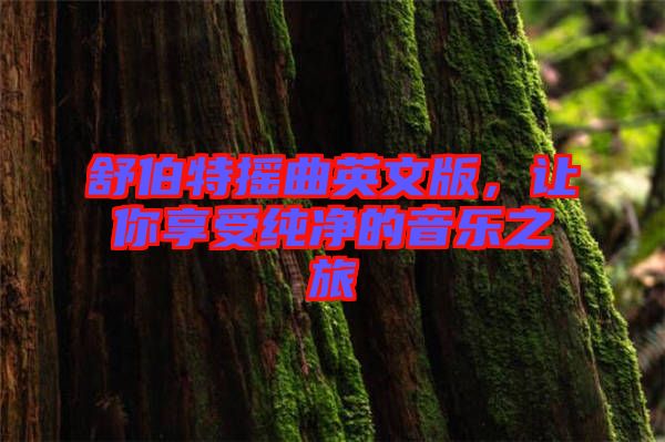 舒伯特?fù)u曲英文版，讓你享受純凈的音樂之旅