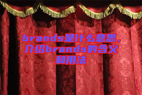 brands是什么意思，介紹brands的含義和用法