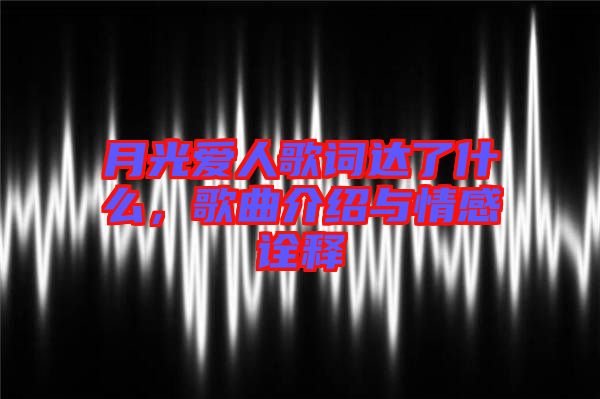 月光愛人歌詞達(dá)了什么，歌曲介紹與情感詮釋