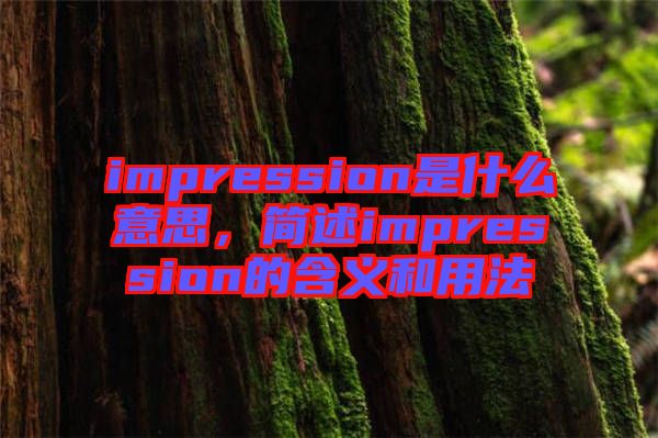 impression是什么意思，簡述impression的含義和用法