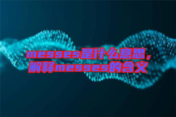 messes是什么意思，解釋messes的含義