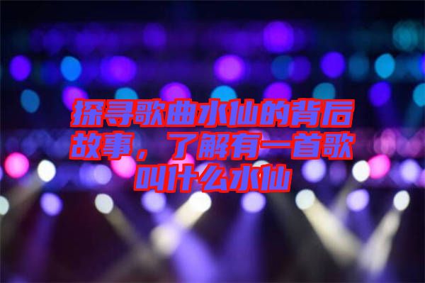 探尋歌曲水仙的背后故事，了解有一首歌叫什么水仙