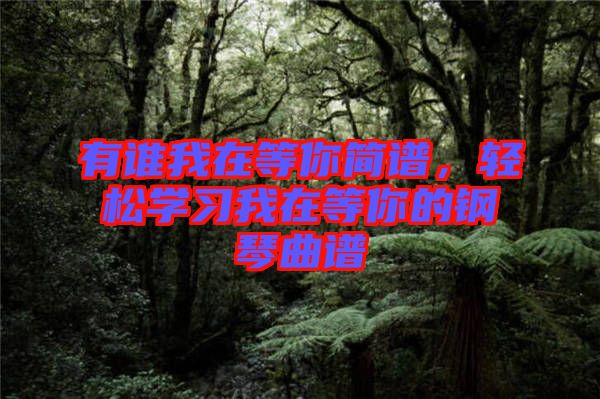 有誰我在等你簡(jiǎn)譜，輕松學(xué)習(xí)我在等你的鋼琴曲譜