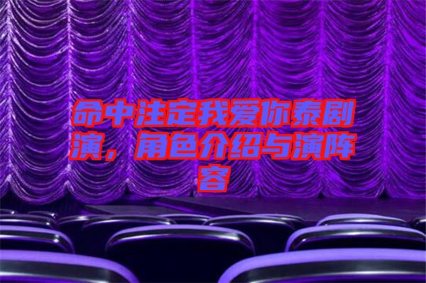 命中注定我愛你泰劇演，角色介紹與演陣容