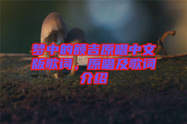 夢(mèng)中的額吉原唱中文版歌詞，原唱及歌詞介紹