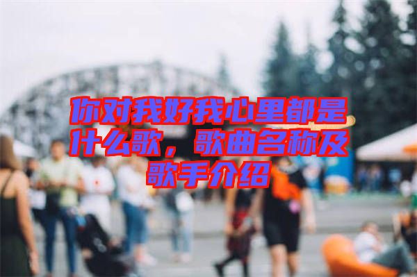 你對(duì)我好我心里都是什么歌，歌曲名稱及歌手介紹