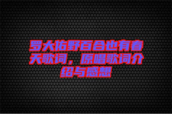 羅大佑野百合也有春天歌詞，原唱歌詞介紹與感想