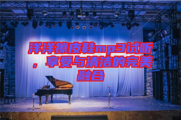 洋洋擦皮鞋mp3試聽，享受與清潔的完美融合