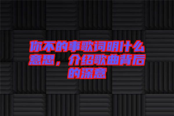 你不的事歌詞明什么意思，介紹歌曲背后的深意