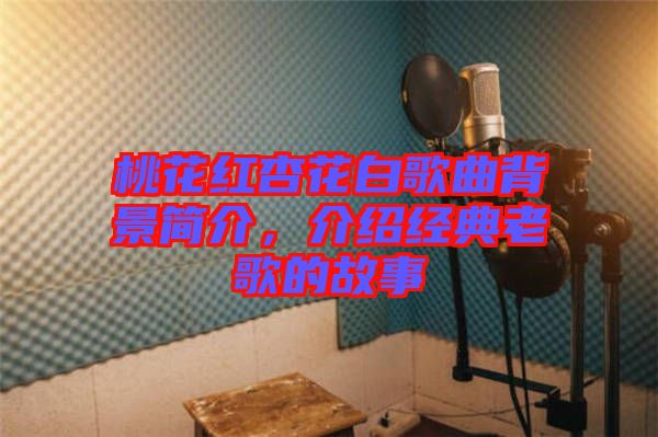 桃花紅杏花白歌曲背景簡(jiǎn)介，介紹經(jīng)典老歌的故事