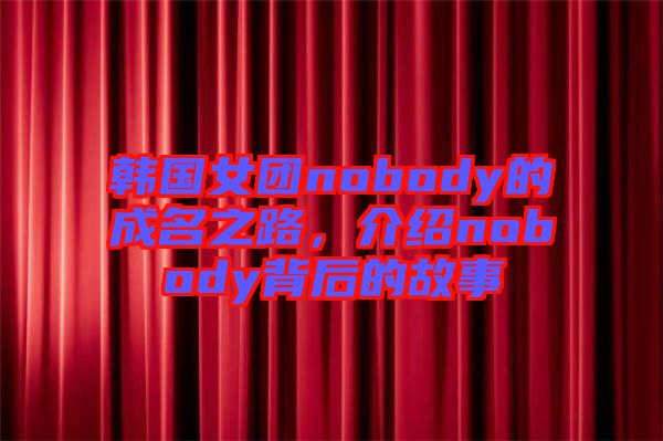 韓國(guó)女團(tuán)nobody的成名之路，介紹nobody背后的故事