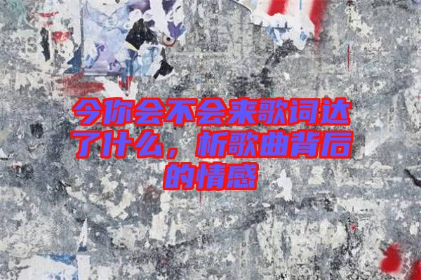 今你會不會來歌詞達了什么，析歌曲背后的情感