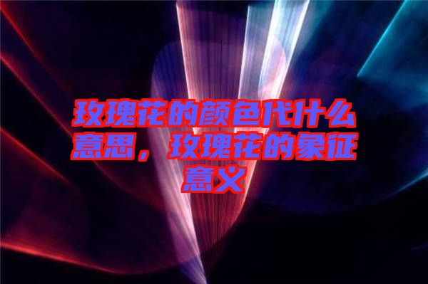 玫瑰花的顏色代什么意思，玫瑰花的象征意義