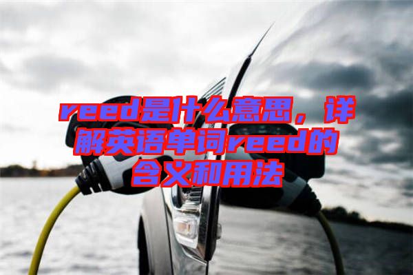 reed是什么意思，詳解英語單詞reed的含義和用法