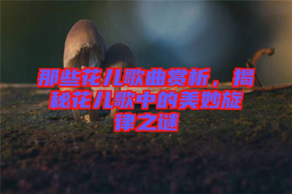 那些花兒歌曲賞析，揭秘花兒歌中的美妙旋律之謎