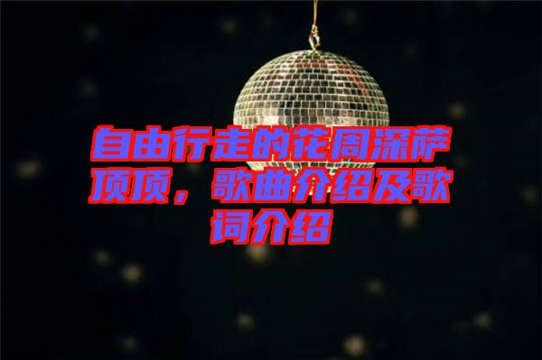 自由行走的花周深薩頂頂，歌曲介紹及歌詞介紹