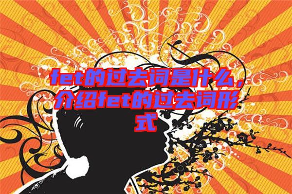 fet的過去詞是什么，介紹fet的過去詞形式