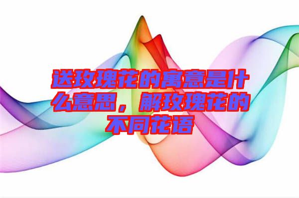 送玫瑰花的寓意是什么意思，解玫瑰花的不同花語