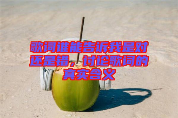 歌詞誰能告訴我是對還是錯，討論歌詞的真實含義