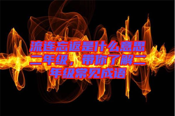 流連忘返是什么意思二年級，帶你了解二年級常見成語