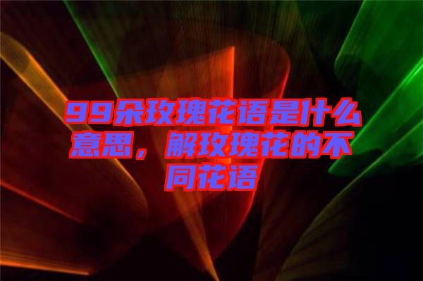 99朵玫瑰花語是什么意思，解玫瑰花的不同花語