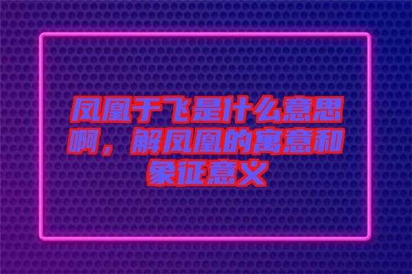 鳳凰于飛是什么意思啊，解鳳凰的寓意和象征意義