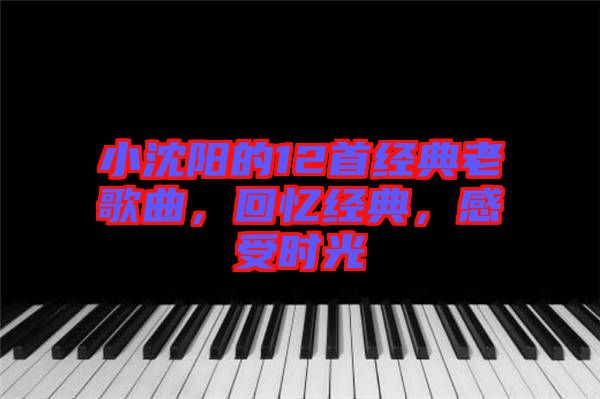 小沈陽的12首經(jīng)典老歌曲，回憶經(jīng)典，感受時(shí)光