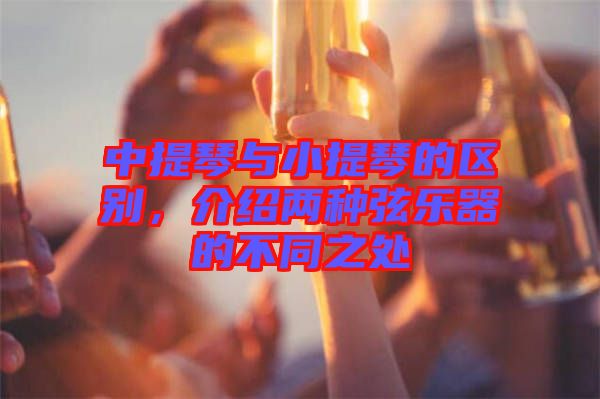 中提琴與小提琴的區(qū)別，介紹兩種弦樂器的不同之處