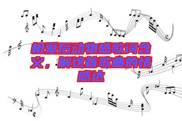 相愛后動(dòng)物感歌詞含義，解這首歌曲的情感達(dá)