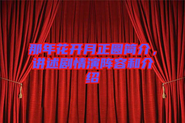 那年花開月正圓簡介，講述劇情演陣容和介紹