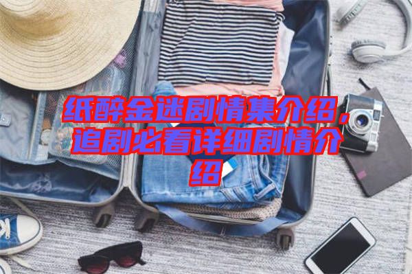 紙醉金迷劇情集介紹，追劇必看詳細劇情介紹