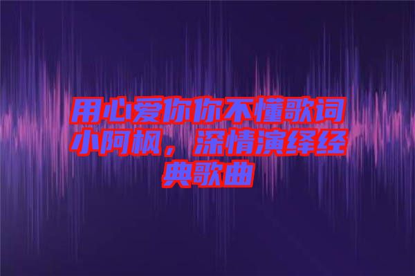 用心愛你你不懂歌詞小阿楓，深情演繹經典歌曲