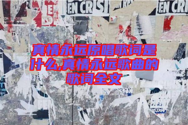 真情永遠原唱歌詞是什么,真情永遠歌曲的歌詞全文