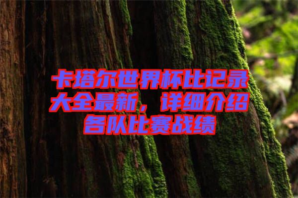 卡塔爾世界杯比記錄大全最新，詳細(xì)介紹各隊(duì)比賽戰(zhàn)績(jī)