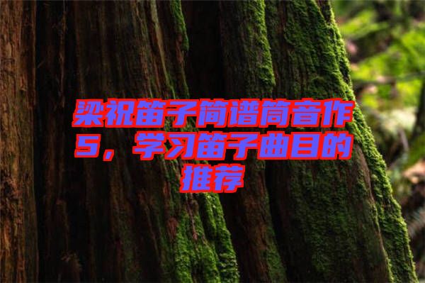 梁祝笛子簡譜筒音作5，學習笛子曲目的推薦