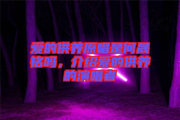 愛(ài)的供養(yǎng)原唱是何晟銘嗎，介紹愛(ài)的供養(yǎng)的演唱者