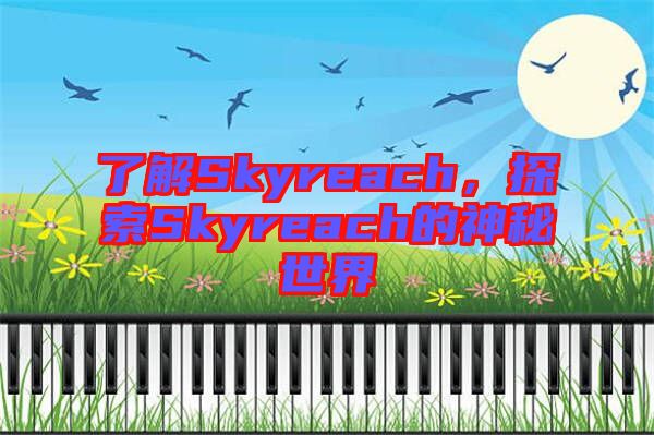 了解Skyreach，探索Skyreach的神秘世界