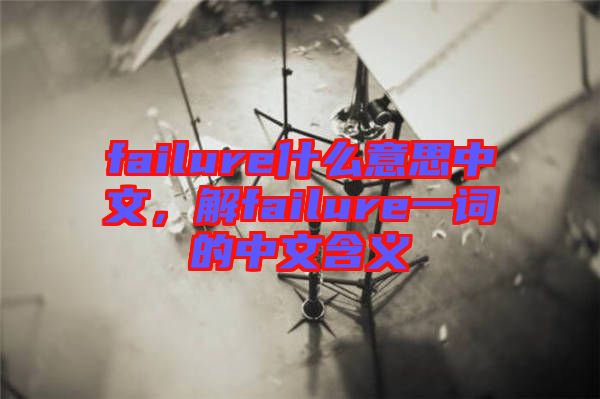 failure什么意思中文，解failure一詞的中文含義