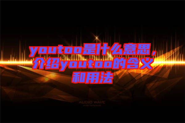 youtoo是什么意思，介紹youtoo的含義和用法