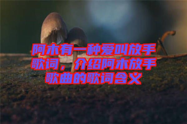 阿木有一種愛叫放手歌詞，介紹阿木放手歌曲的歌詞含義