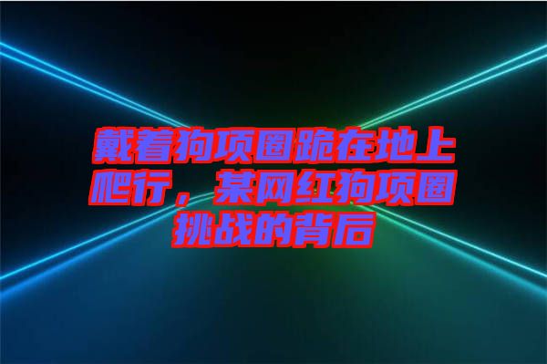 戴著狗項(xiàng)圈跪在地上爬行，某網(wǎng)紅狗項(xiàng)圈挑戰(zhàn)的背后