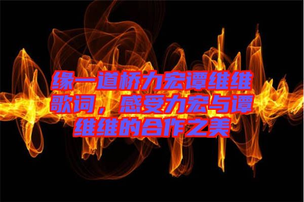 緣一道橋力宏譚維維歌詞，感受力宏與譚維維的合作之美