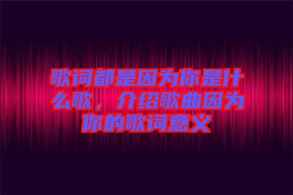 歌詞都是因為你是什么歌，介紹歌曲因為你的歌詞意義