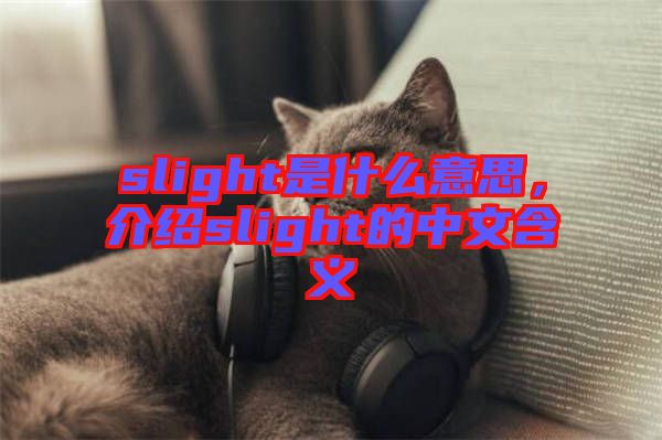 slight是什么意思，介紹slight的中文含義