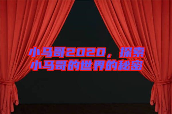 小馬哥2020，探索小馬哥的世界的秘密