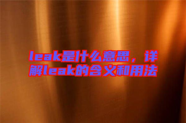 leak是什么意思，詳解leak的含義和用法