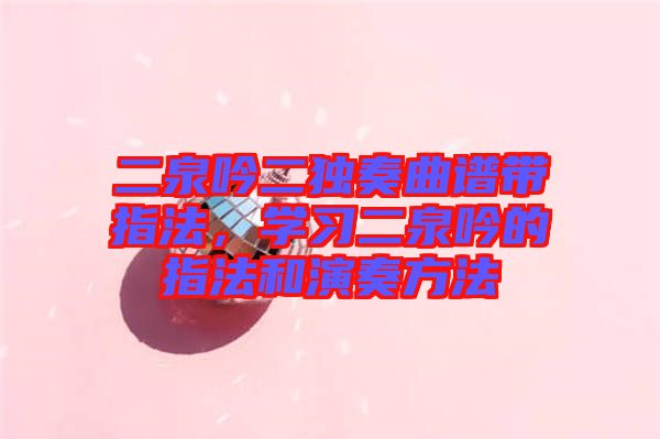 二泉吟二獨(dú)奏曲譜帶指法，學(xué)習(xí)二泉吟的指法和演奏方法