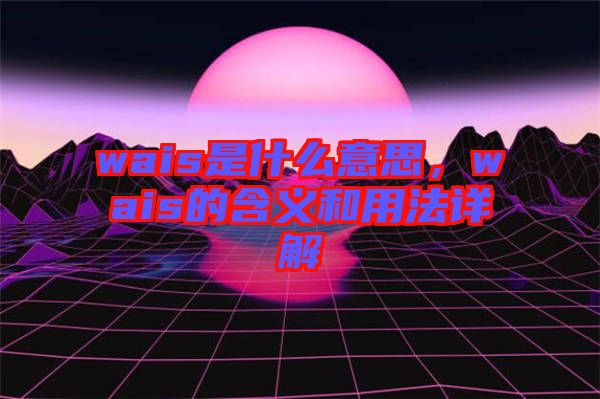 wais是什么意思，wais的含義和用法詳解