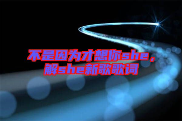 不是因為才想你she，解she新歌歌詞